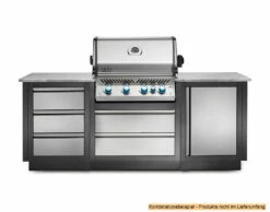 Napoleon Outdoor Küche Oasis Abschluss-Paneele 11 Napoleon Outdoor Küche Oasis Abschluss-Paneele -Grill Verkaufs-Shop Napoleon Outdoor Kueche Oasis Schubladen Schrank