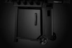 Napoleon Phantom Freestyle 425 Gasgrill, Mattschwarz - Mit Sizzle Zone Und Tür - Modell 2023 25 Napoleon Phantom Freestyle 425 Gasgrill, Mattschwarz - Mit Sizzle Zone Und Tür - Modell 2023 -Grill Verkaufs-Shop Napoleon Phantom Freestyle F425DSIBPK PHM Detail Compartment