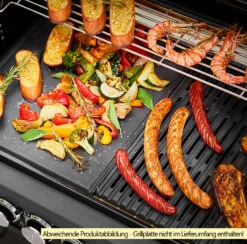 Rösle Gasgrill Magnum PRO G4-S - X-DEAL Inkl. Abdeckhaube Und Gusseisen Grillplatte - Modell 2023 -Grill Verkaufs-Shop Roesle Magnum Pro G4 S Grillflaeche