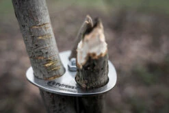 Petromax Dreibein-Ring 17 Petromax Dreibein-Ring -Grill Verkaufs-Shop petromax dreibeinring detail d ring